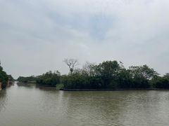 -大湾区中央湿地公园