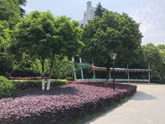 -常州古运河南大街文化旅游区-人民公园