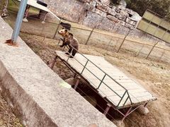 -宿豫区运河湾森林动物园