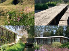 -前小桔亲子创意农场·草莓采摘·露营烧烤