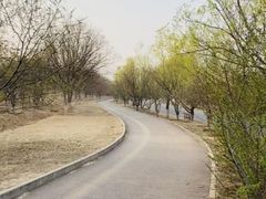 -永定河休闲森林公园