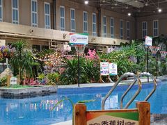 -兴芮温泉度假区