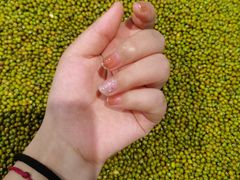 -海底捞火锅(攀枝花万达店)