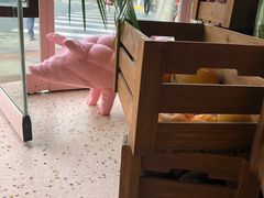 -WHEN PIGS FLY当猪飞