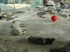 -珠海长隆海洋王国