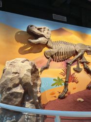 -北京科学中心儿童乐园