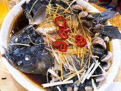 -煲来饱去冷水鱼