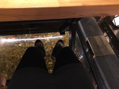 -颐和•海鲜砂锅粥•啫啫煲(奥林匹克广场店)