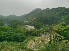 -黄埔油麻山森林公园