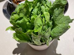 -浩爷羊蝎子火锅(望京店)