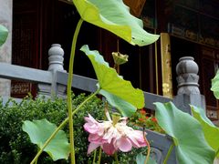 -天目山-昭明禅寺