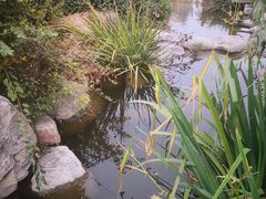 -郑州银基黄帝宫御温泉