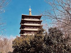 -牛首山文化旅游区
