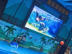 -石家庄极地海洋世界