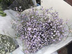 -循礼门鲜花花市(武汉循礼门店)