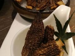 -洪氏嗨捞·猪肚鸡火锅(阳光天地店)