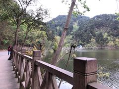 -黔灵山公园