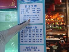 -年辉渔村·非遗传承餐厅(新丰江店)