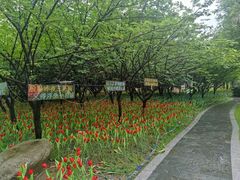 -东坡赤壁风景名胜区