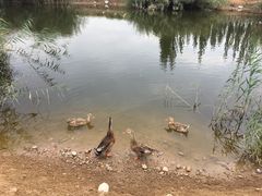 -水洞沟旅游区