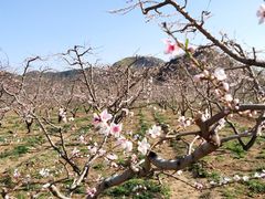 -崔记生活·铁锅炖鱼粘卷子(总店)