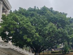 -广西大学(大学东路校区)