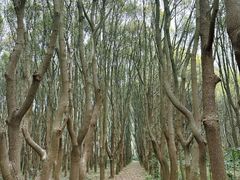 -同里国家湿地公园