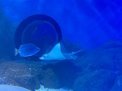 -常州海昌海洋探索馆