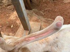 -昆明动物园