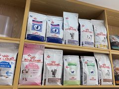 -芭比堂动物医院·24小时·眼科中心(深圳中心)