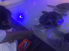 -华夏文旅海洋公园