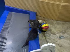 -太平洋海底世界