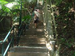 -香港大学