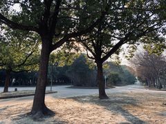 -胜华驾校·小猫学车(银都店)
