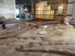 -自贡恐龙博物馆