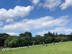 -上海共青森林公园