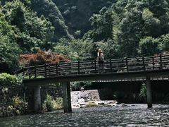 -宁波五龙潭景区