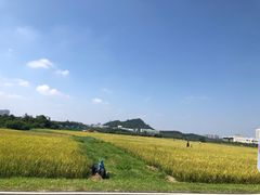 -光明小镇欢乐田园