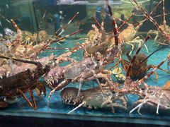 -龙宴海鲜城(经中路店)