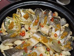 -芙蓉堂(武汉天地店)