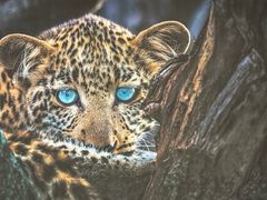 -罗红摄影艺术馆