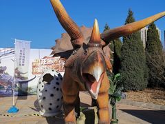 -唐山河头老街国丰维景国际大酒店