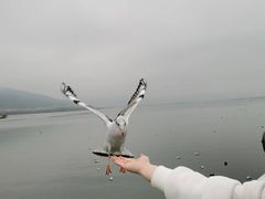 -滇池海埂公园