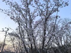-钟山体育运动公园