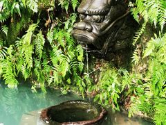 -十八棵（老龙井）御茶园(老龙井店)