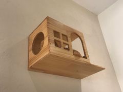 -藏猫猫咖啡主题馆(中央大道店)