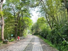 -紫金山山顶公园