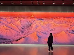 -罗红摄影艺术馆