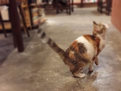 -看书吧(体育东横路店)