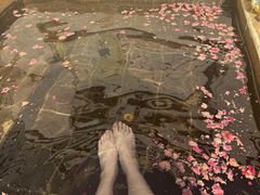 -北京益泉花园酒店